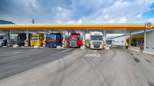 Business customer, supplier, partner or investor